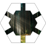 Forest Hex Tile