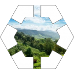 Hills Hex Tile