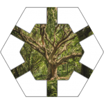 Mystic Tree Hex Tile