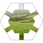 Plains Hex Tile