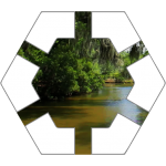 Swamp Hex Tile