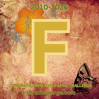 My New Campaign: Fencing, Failure, and Forging Ahead
